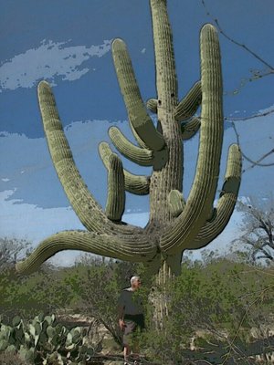 Saguaro With Scale Ref.jpg