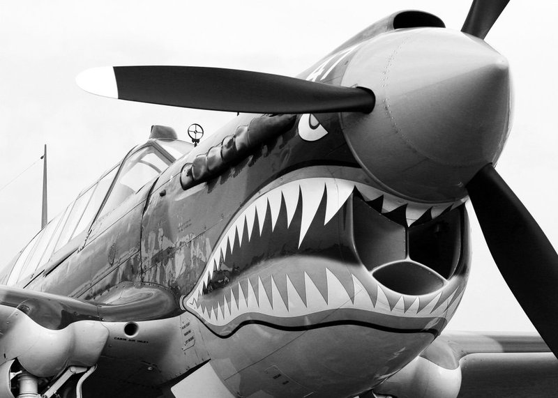 Flying Tigers.jpg