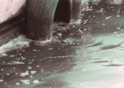 water pollution.gif