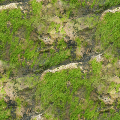 Grassyclifftexture.png