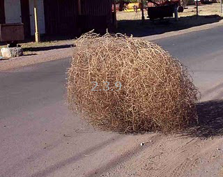 tumbleweed.jpg