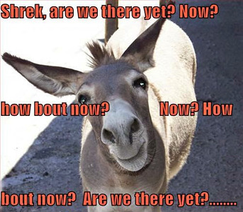 donkey-are-we-there-yet.jpeg