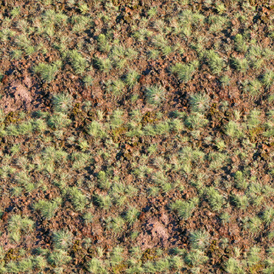 Down-scaled, slightly remixed plant texture. Still weird.