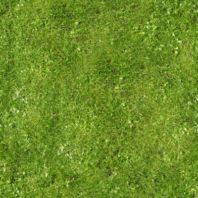 Grass1.png